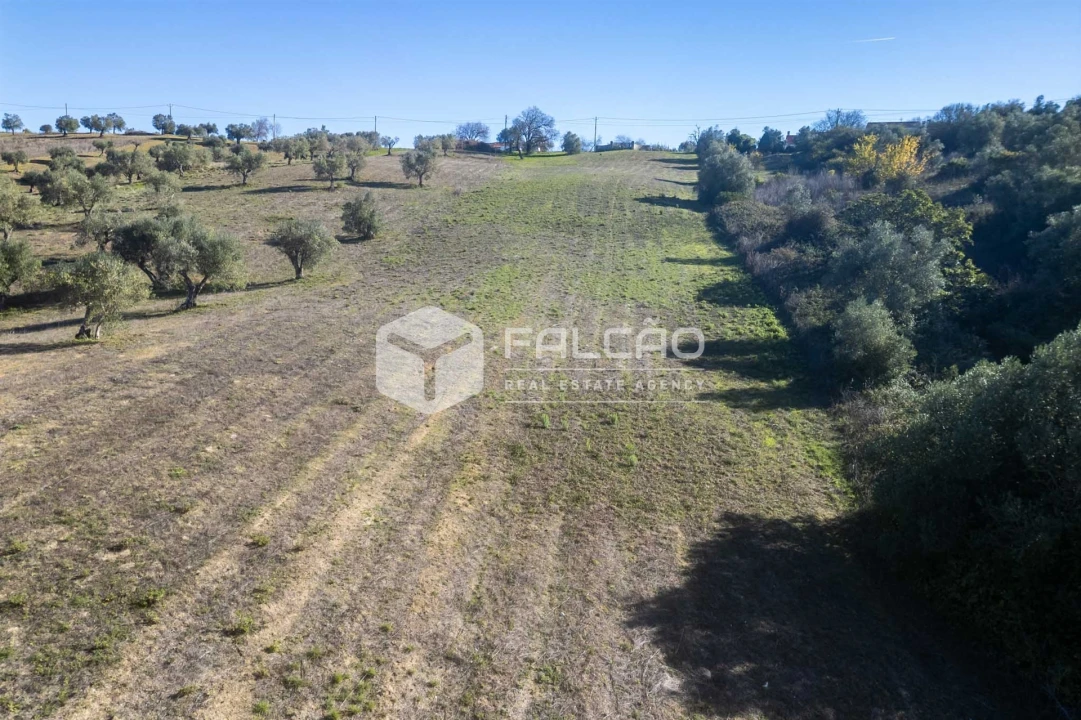 Terreno para Venda em Moçarria Foto 10