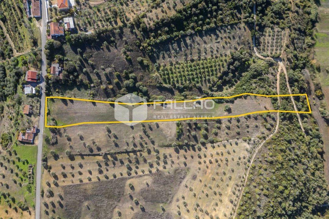 Terreno para Venda em Moçarria Foto 3