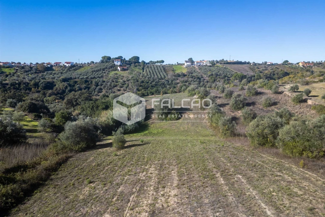 Terreno para Venda em Moçarria Foto 11