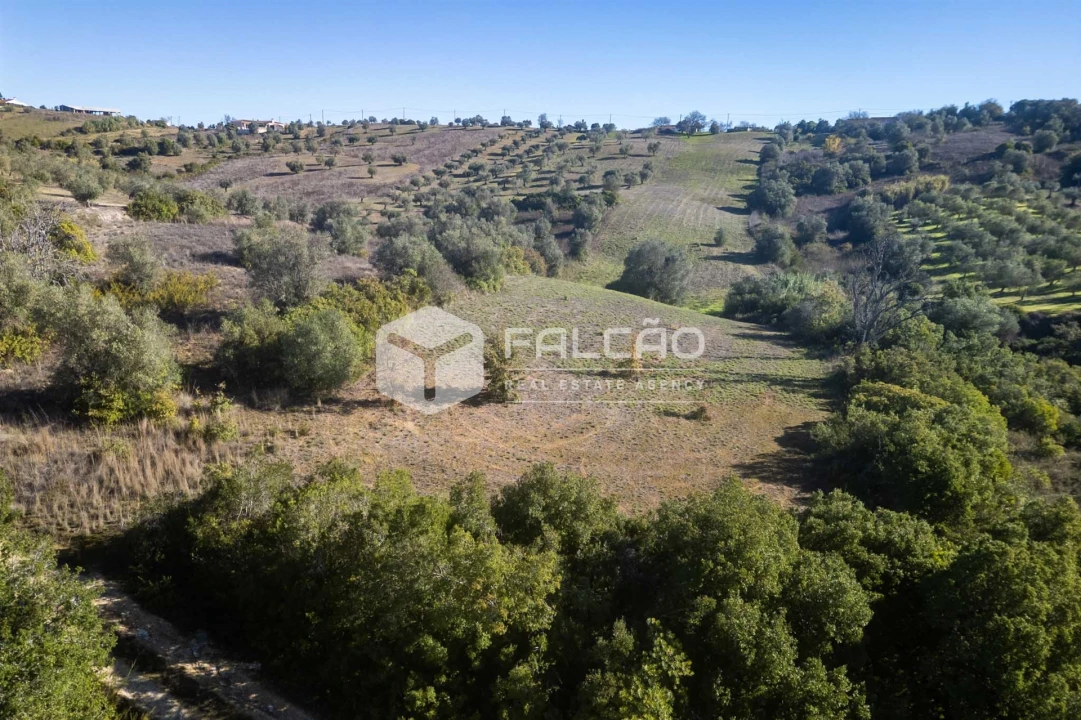 Terreno para Venda em Moçarria Foto 4