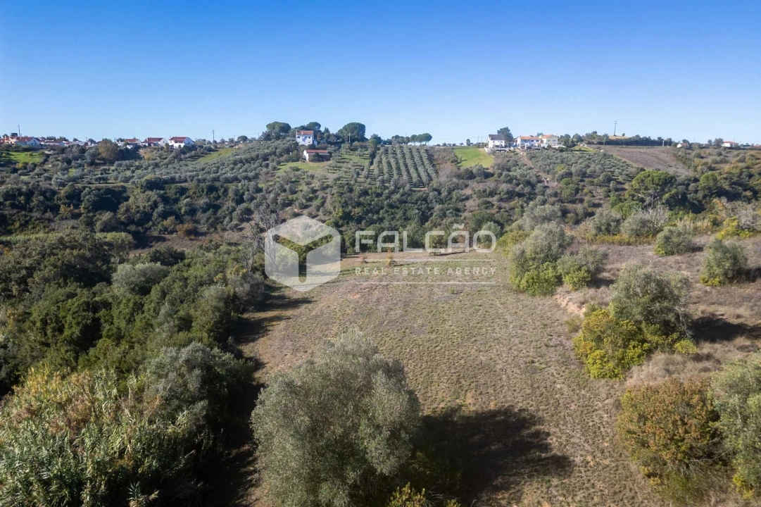 Terreno para Venda em Moçarria Foto 12