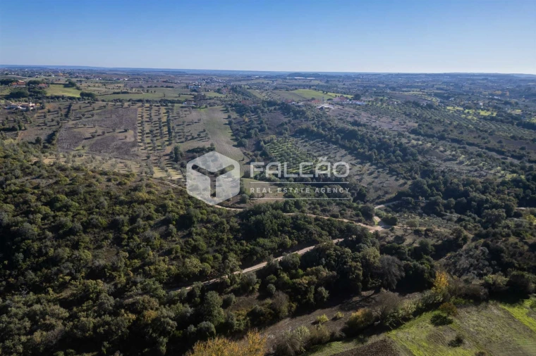 Terreno para Venda em Moçarria Foto 23