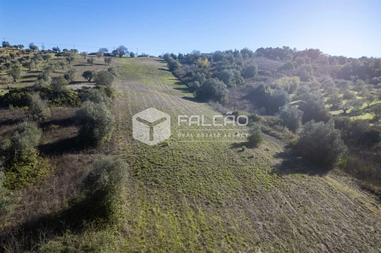 Terreno para Venda em Moçarria Foto 7