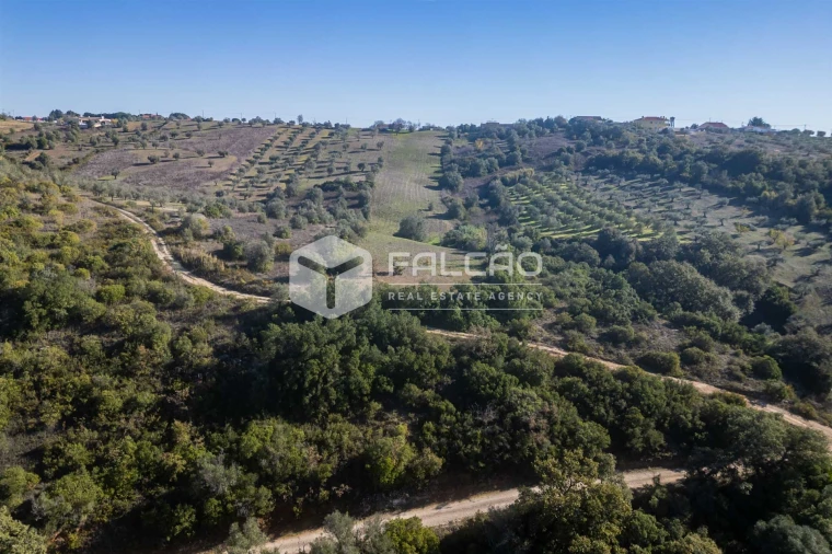 Terreno para Venda em Moçarria Foto 26