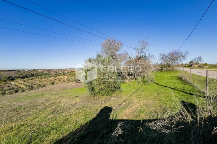 Terreno para Venda em Moçarria Foto 33