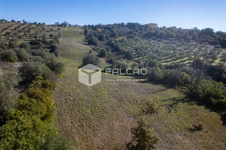 Terreno para Venda em Moçarria