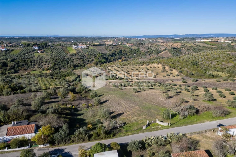 Terreno para Venda em Moçarria Foto 20