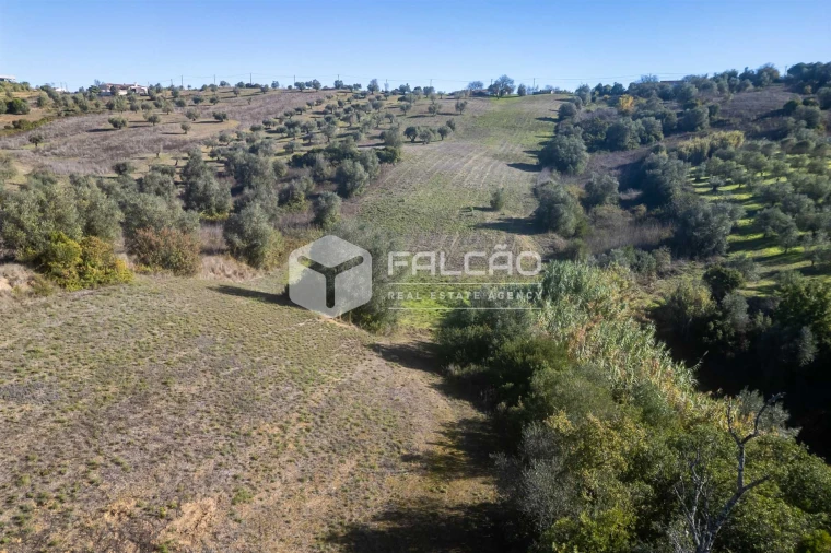 Terreno para Venda em Moçarria Foto 5