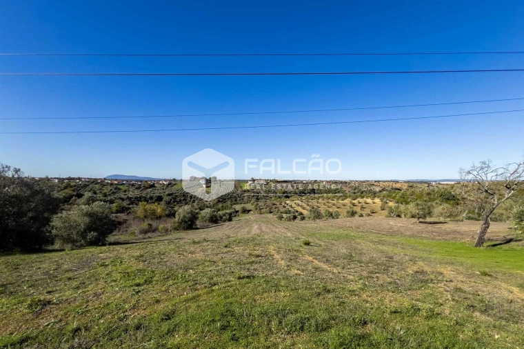 Terreno para Venda em Moçarria Foto 31