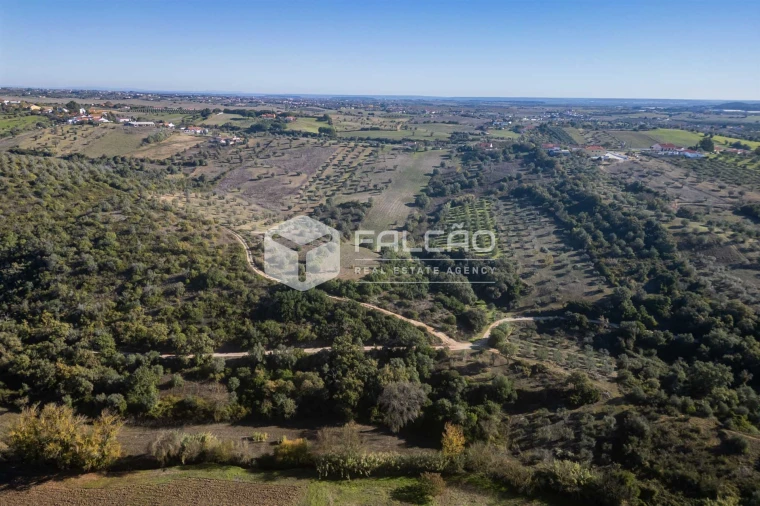 Terreno para Venda em Moçarria Foto 24