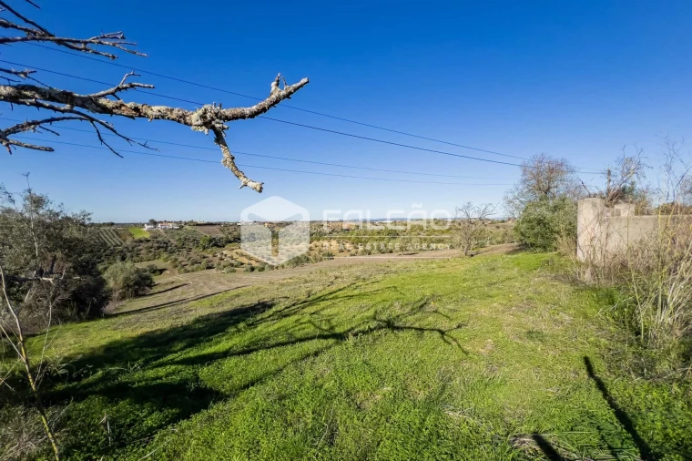 Terreno para Venda em Moçarria Foto 34