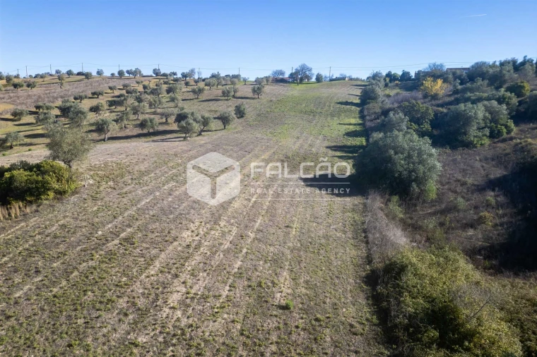 Terreno para Venda em Moçarria Foto 8