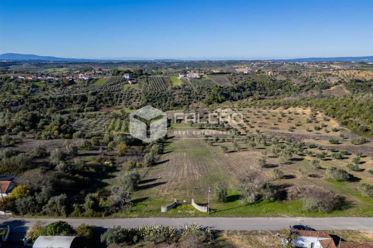 Terreno para Venda em Moçarria Foto 19