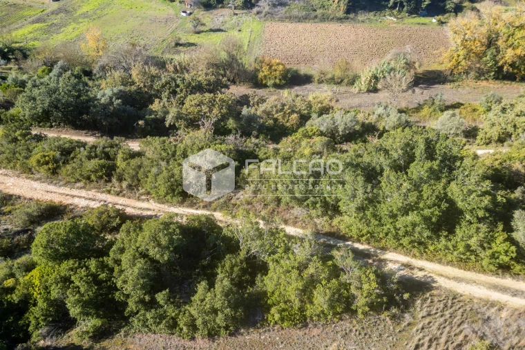 Terreno para Venda em Moçarria Foto 12