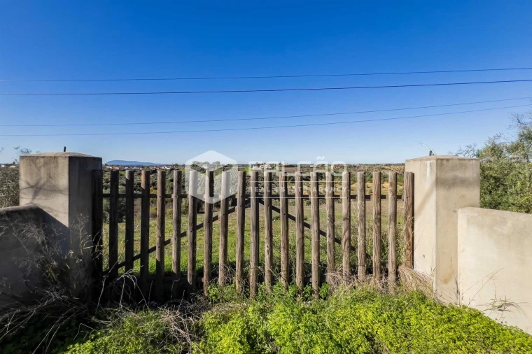 Terreno para Venda em Moçarria Foto 32