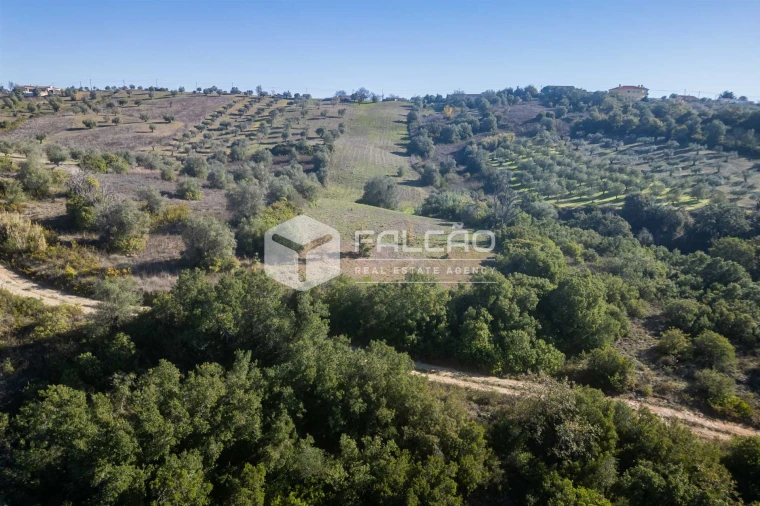 Terreno para Venda em Moçarria Foto 27