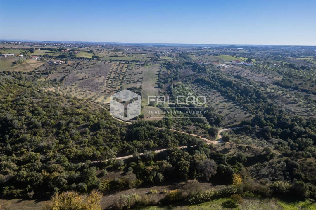 Terreno para Venda em Moçarria Foto 22
