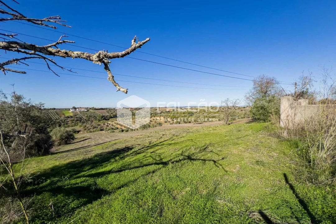 Terreno para Venda em Moçarria Foto 34