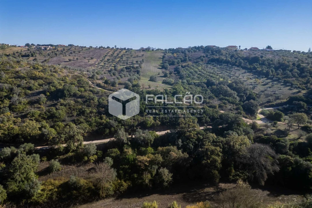 Terreno para Venda em Moçarria Foto 25