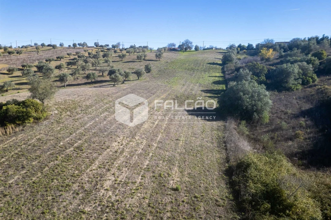 Terreno para Venda em Moçarria Foto 9