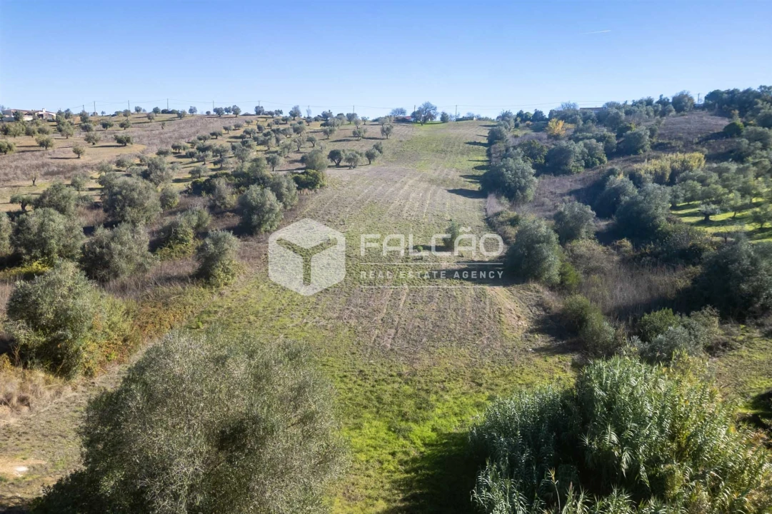 Terreno para Venda em Moçarria Foto 7
