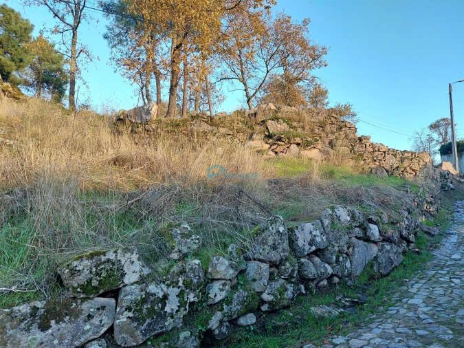 Terreno para Venda em Adoufe e Vilarinho de Samardã Foto 11