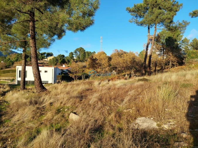 Terreno para Venda em Adoufe e Vilarinho de Samardã Foto 4