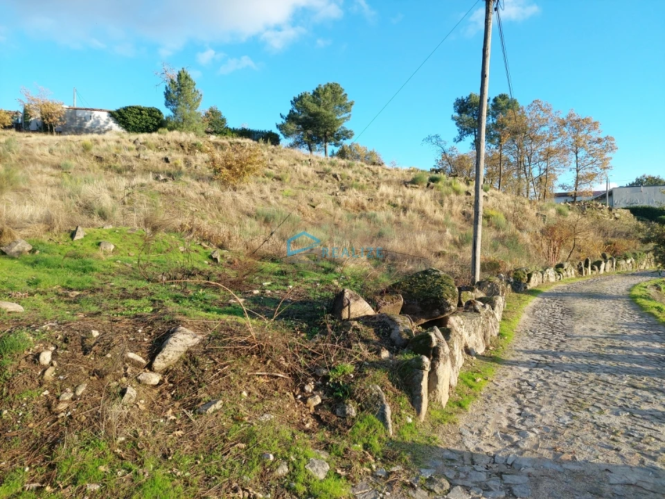 Terreno para Venda em Adoufe e Vilarinho de Samardã Foto 10