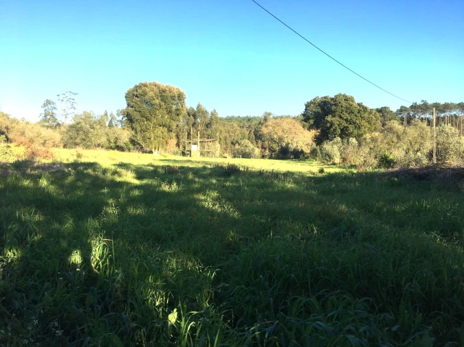 Terreno para Venda em Regueira de Pontes