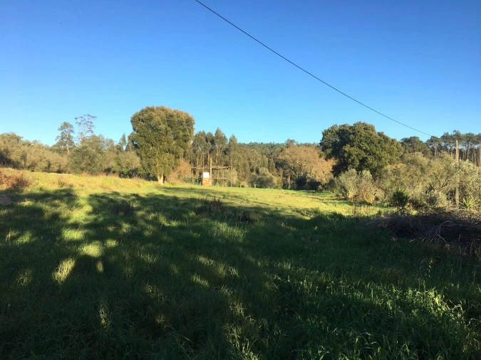 Terreno para Venda em Regueira de Pontes Foto 3