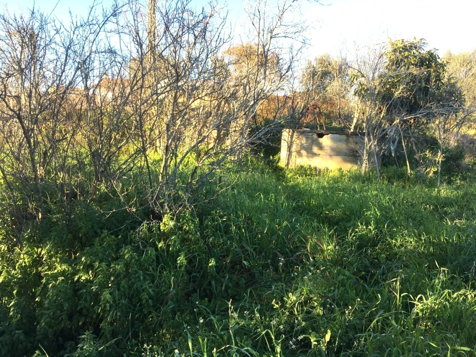Terreno para Venda em Regueira de Pontes Foto 2