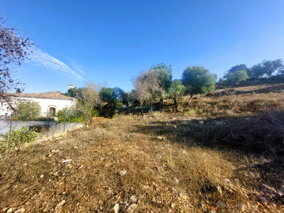 Terreno Misto para Venda em Loule (São Clemente) Foto 9