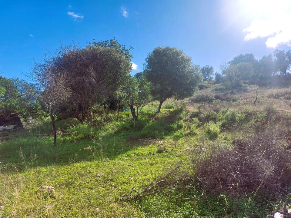 Terreno Misto para Venda em Loule (São Clemente) Foto 22