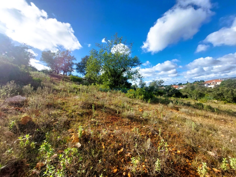 Terreno Misto para Venda em Loule (São Clemente) Foto 19