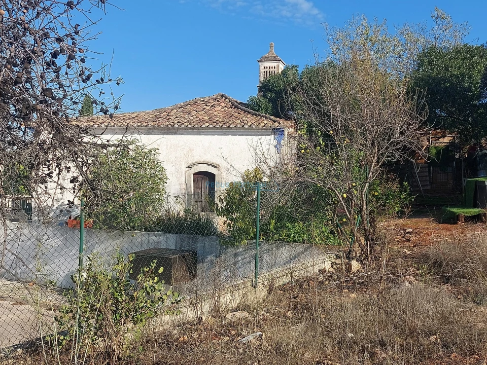 Terreno Misto para Venda em Loule (São Clemente) Foto 8