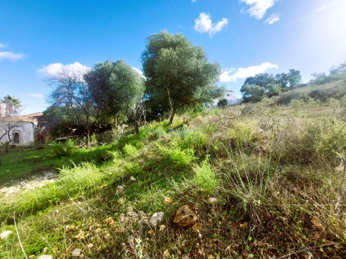 Terreno Misto para Venda em Loule (São Clemente) Foto 21