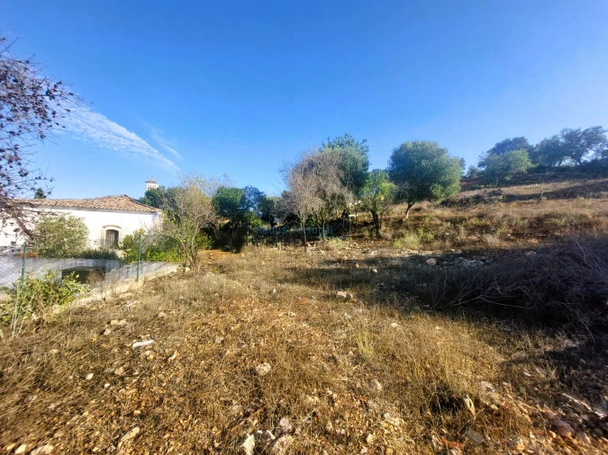 Terreno Misto para Venda em Loule (São Clemente) Foto 9