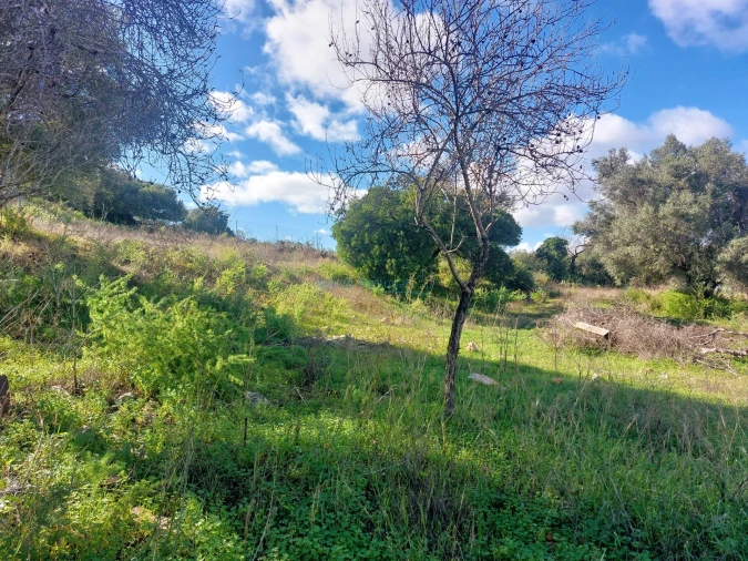 Terreno Misto para Venda em Loule (São Clemente) Foto 13