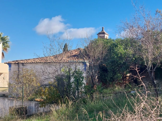 Terreno Misto para Venda em Loule (São Clemente) Foto 7