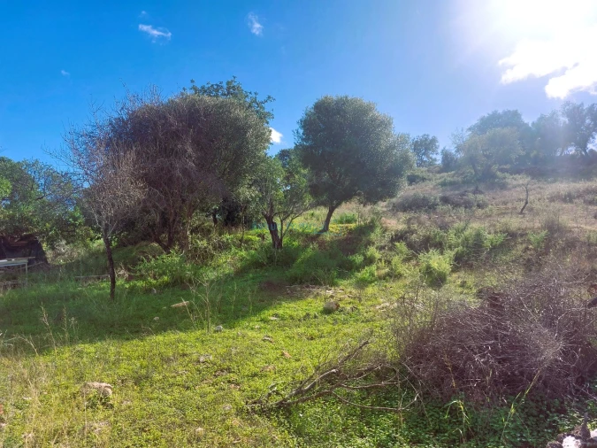 Terreno Misto para Venda em Loule (São Clemente) Foto 22
