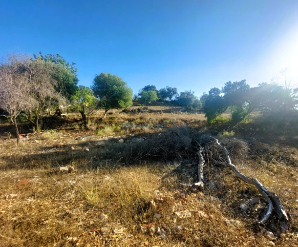 Terreno Misto para Venda em Loule (São Clemente) Foto 10
