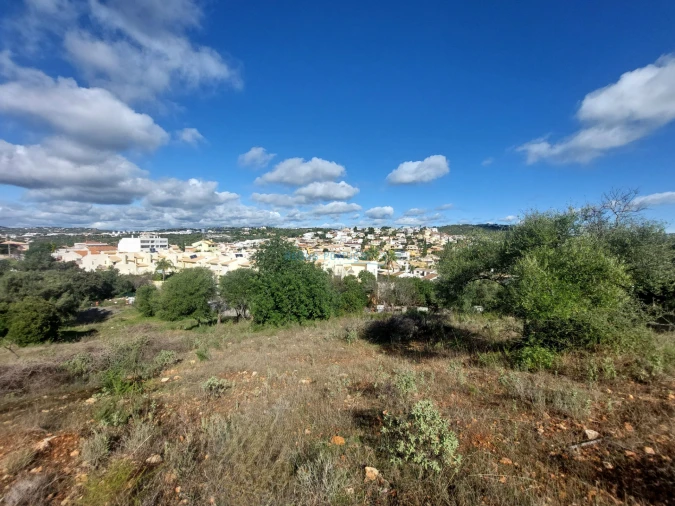 Terreno Misto para Venda em Loule (São Clemente) Foto 16
