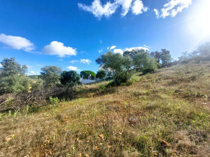 Terreno Misto para Venda em Loule (São Clemente) Foto 20