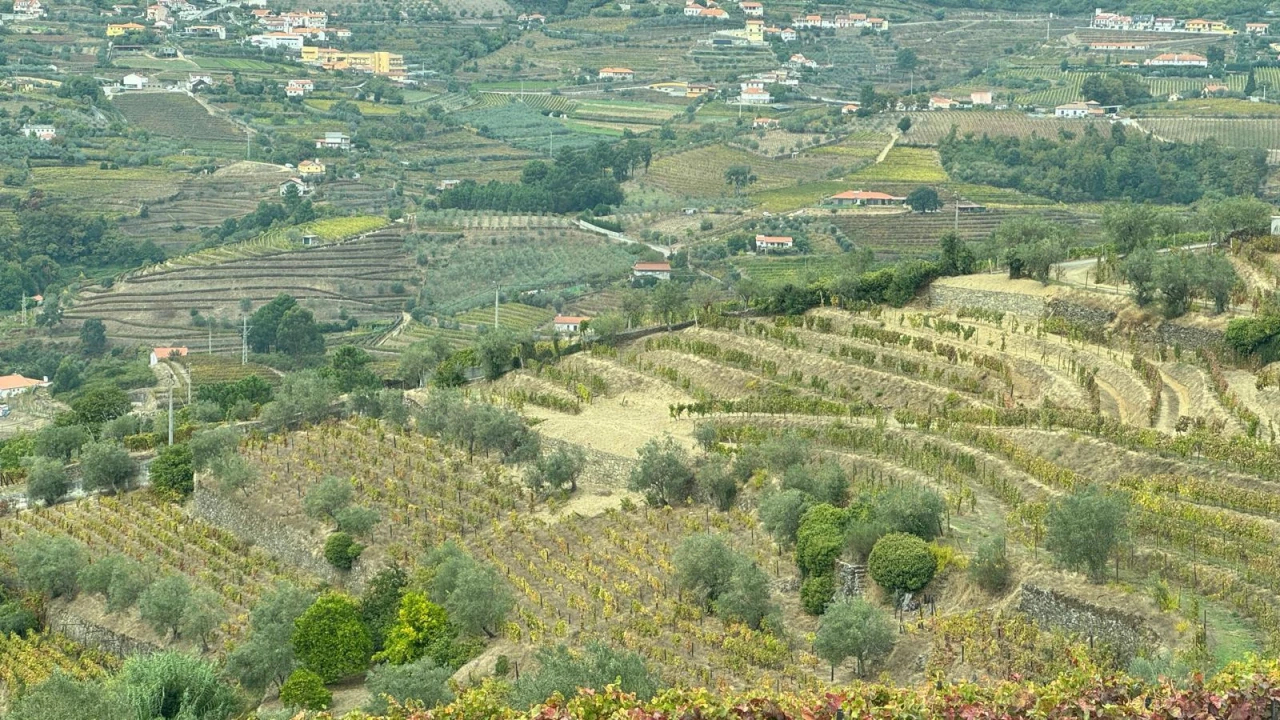 Quinta T2 para Venda em Moura Morta e Vinhós Foto 2