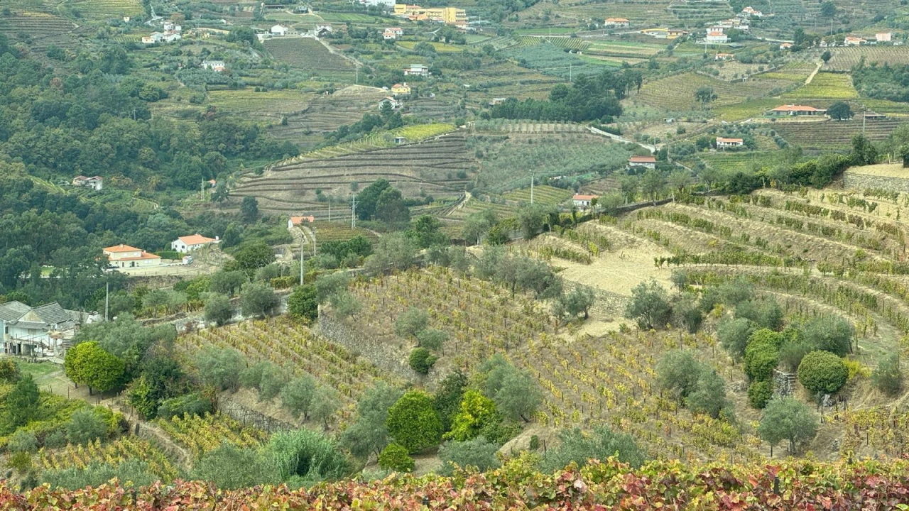 Quinta T2 para Venda em Moura Morta e Vinhós Foto 5