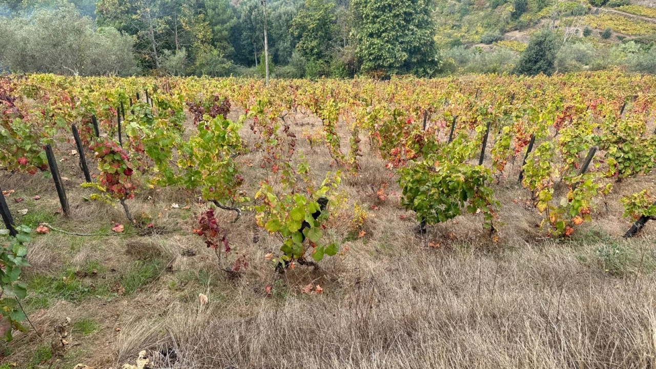 Quinta T2 para Venda em Moura Morta e Vinhós Foto 7