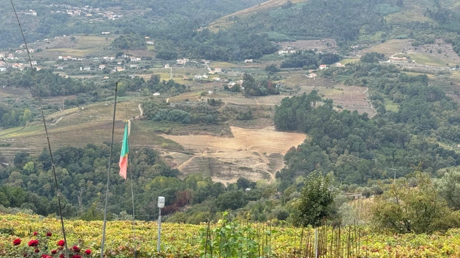Quinta T2 para Venda em Moura Morta e Vinhós Foto 4