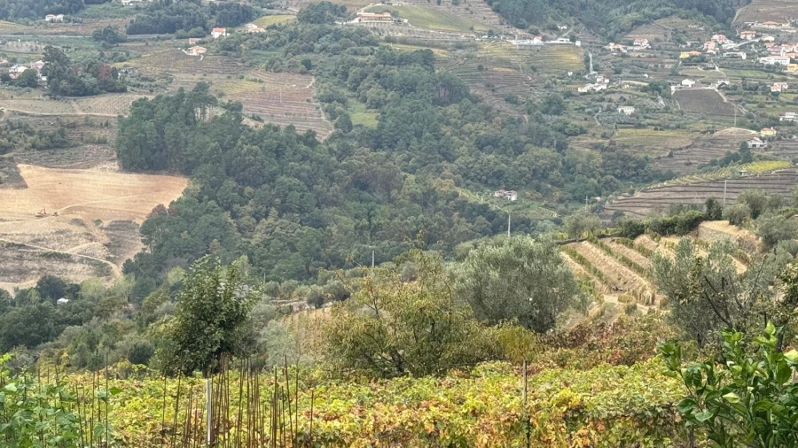 Quinta T2 para Venda em Moura Morta e Vinhós Foto 3