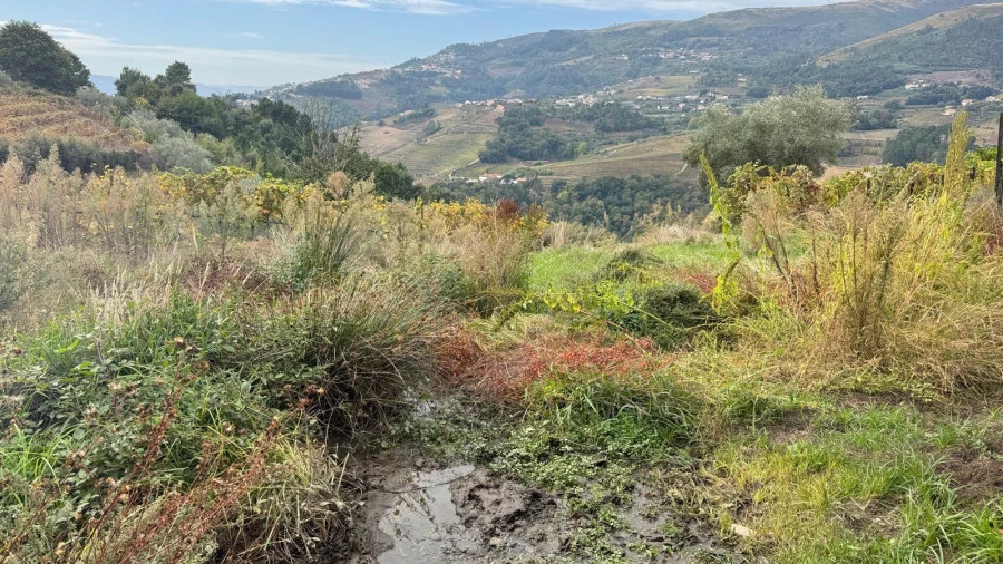 Quinta T2 para Venda em Moura Morta e Vinhós Foto 20