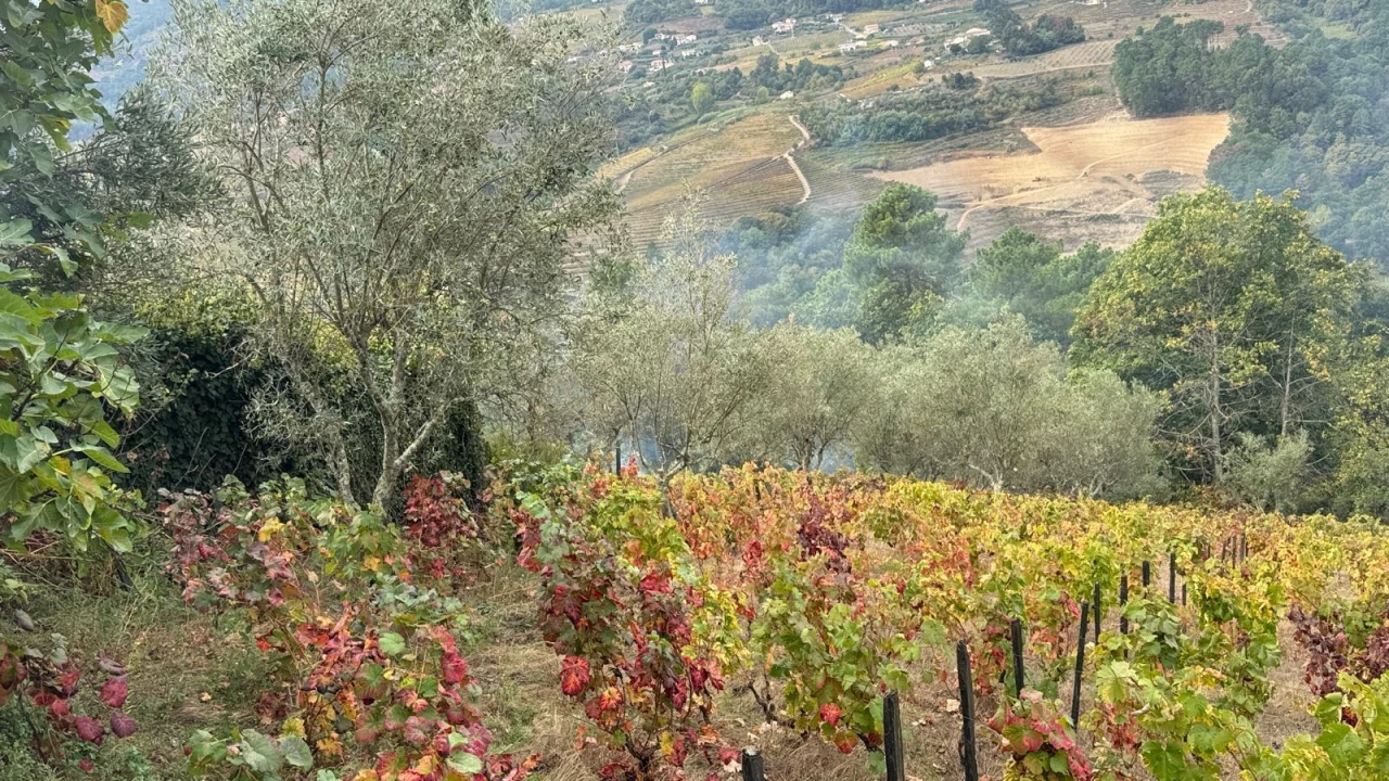Quinta T2 para Venda em Moura Morta e Vinhós Foto 9